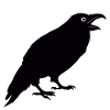 Raven Silhouette