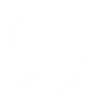 grungy skull