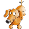 Joyeux teckel I Teckel I Chien