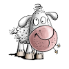 Crazy Sheep I Funny Sheep