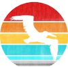 pelican