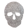 Diamond Skull