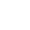 CEO - Chief Executive Officer Business