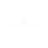 RC Airplane