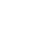 Raven Lunatic