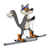 Skitour Ski Wolf