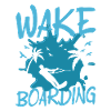 Wake Board Wassersport Wakeboarding