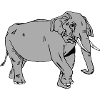Éléphant