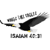 Wings like eagles - Isaiah 40,31 - Bible Jesus4m3