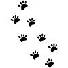 Paw Love