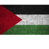 Palestine Fun Gift