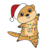 Suricates Noël neige hiver animaux