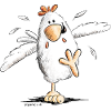 Poulet cool