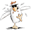 Cool Running Chicken With Sunglasses