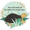 Turtle Cassiopeia