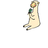 Lama