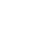 Bonsai Tree