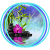 Impression zen