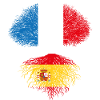 Tree France Spain Spanish roots flags