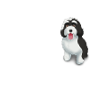 Tibet Terrier Glücklich - Tibet Terrier