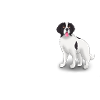 Landseer Glücklich - Landseer