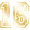16 Number Gold