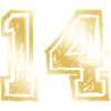 14 Number Gold