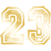 23 Number Gold