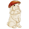 Fly agaric