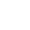 Kite