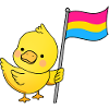 Canard Pan Pride pansexuel