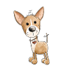 Happy Chihuahua Dog