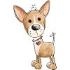 Small Chihuahua Dog
