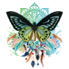 Attrape-rêves papillon