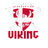 Danish Viking