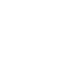 Drone Pilot