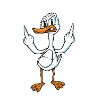 Duck Middle Finger