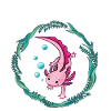 Axolotl