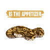 Snake Pet Snake Lovers