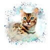 bengalkatze,katze,bengal,graffiti,malerei