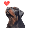 Rottweiler Heart Dog Love