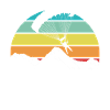 Parachute Retro Mountain Paragliding