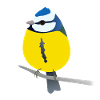 Cute blue