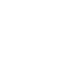Kiwi Vogel