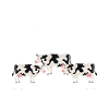 Vaches Kuhfarmer Cadeau