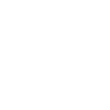 Kiwi Bird