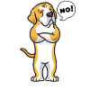 Mastín Español chien mastiff espagnol