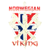 Norwegian Viking