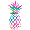 Rainbow Pineapple