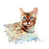 bengalkatze,katze,bengal,graffiti,malerei,aquarell